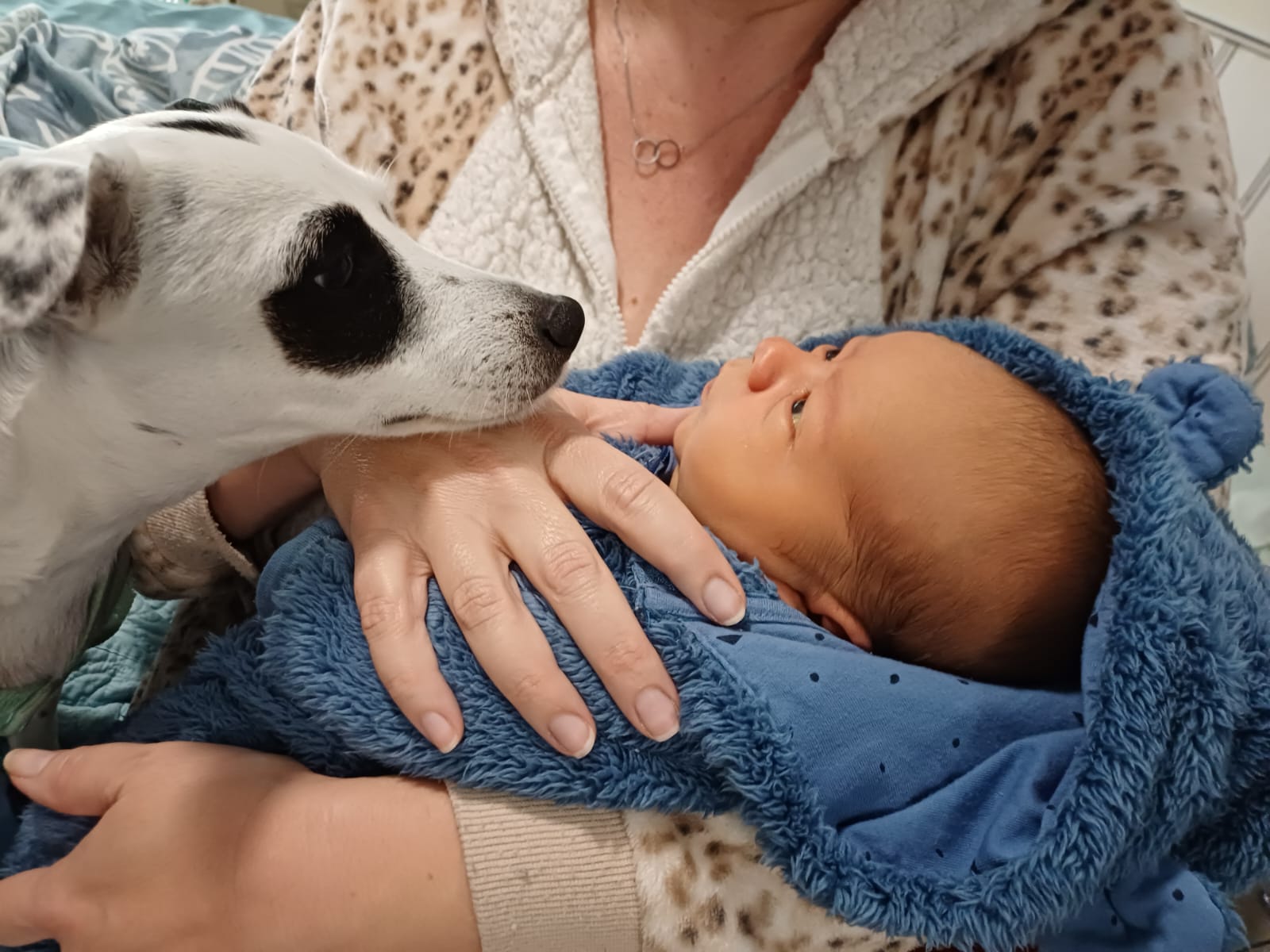 Instructor Luca's newborn baby boy Benyamin wrapped in a soft blue blanket